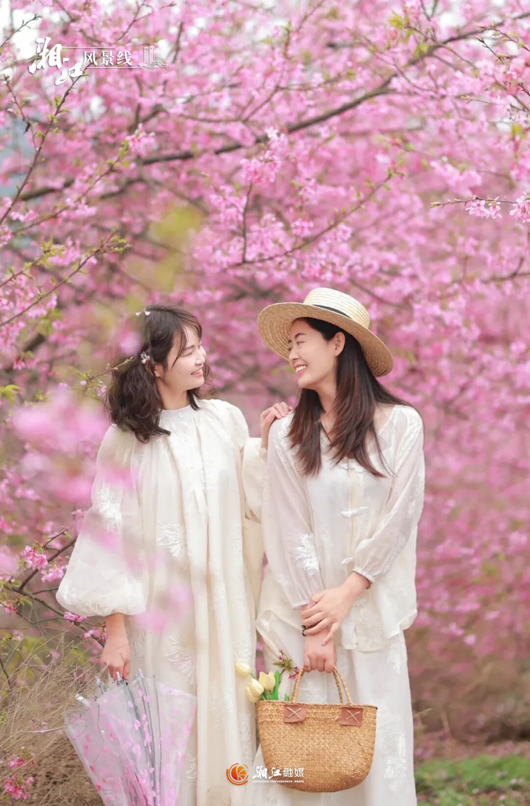 �W�(y��ng)�ĕ�Ұ